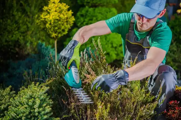 landscaping services Yale